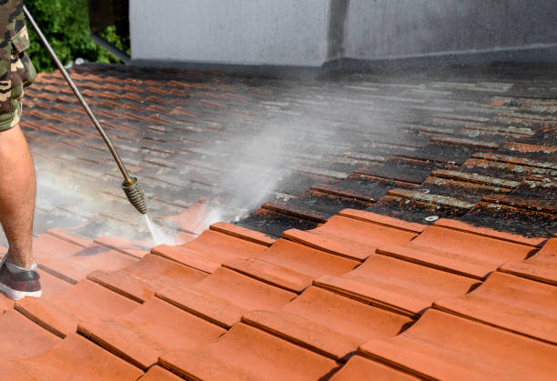 Best Garage Pressure Washing  in Temple, GA